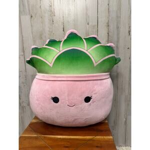 Squishmallows Afiyah Succulent Plant Plush Large Retired 16"